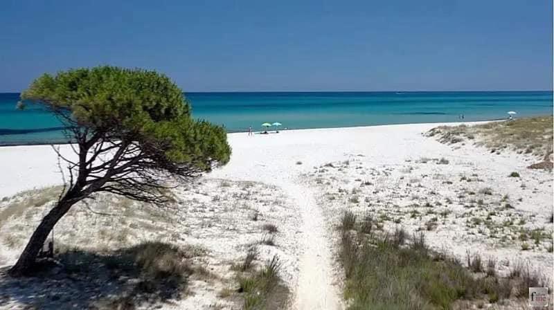 Apartmán Le Residenze Del Mare Monolocale N2 La Caletta Exteriér fotografie